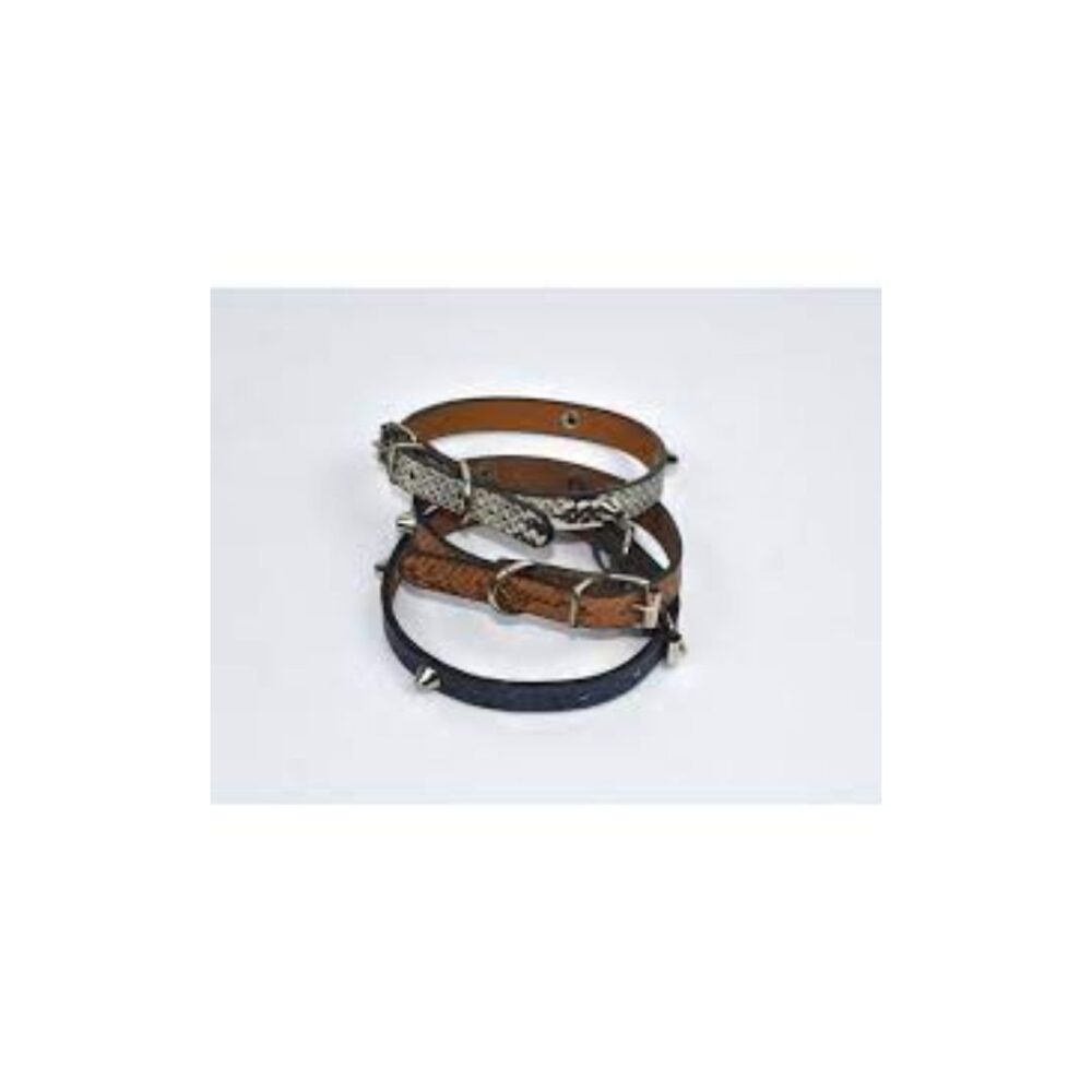 Leather collar spice L
