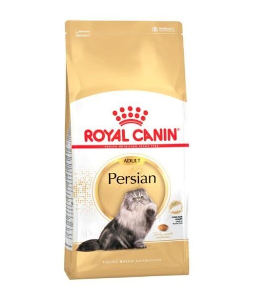 RC persian adult