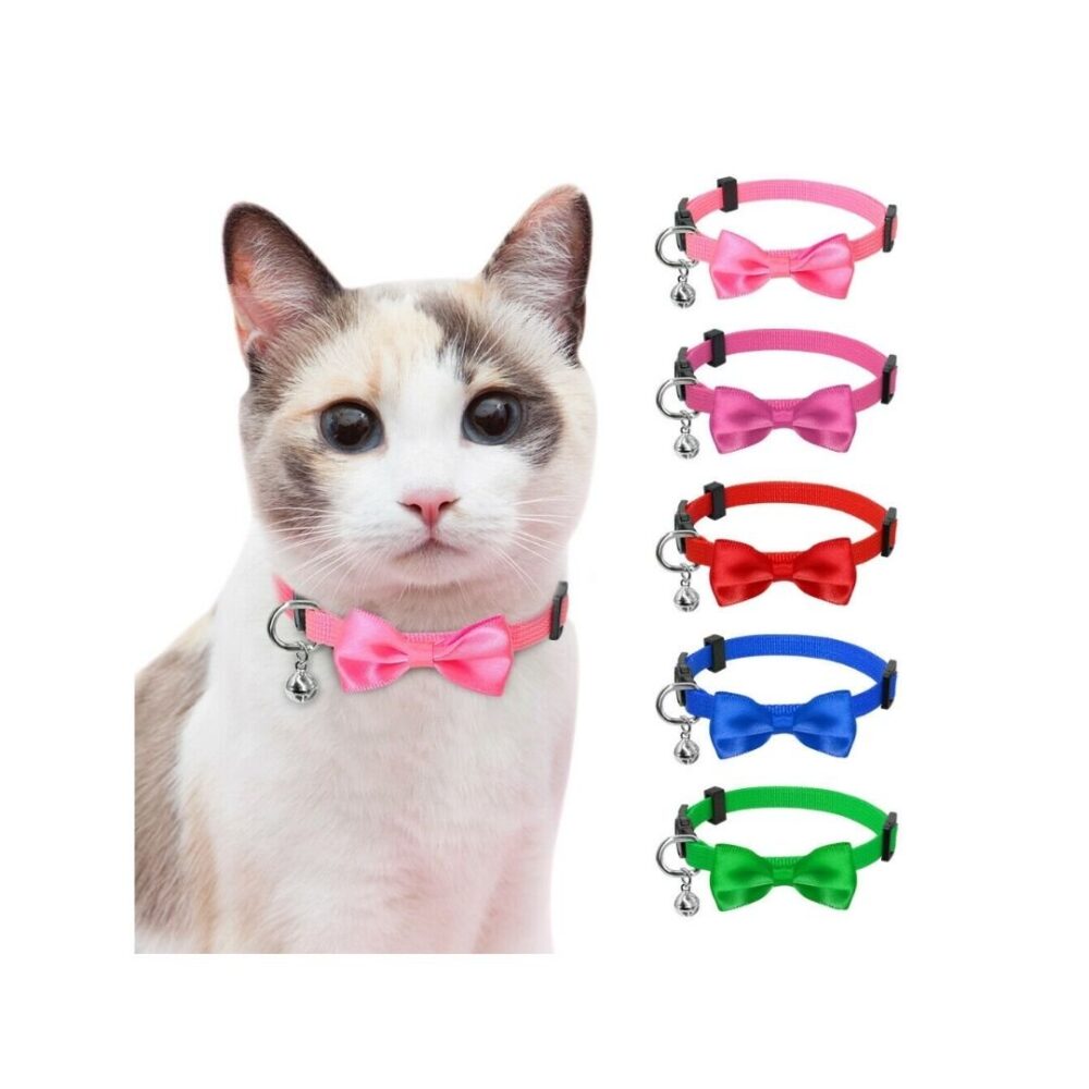 cat collar