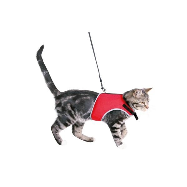 cat harness